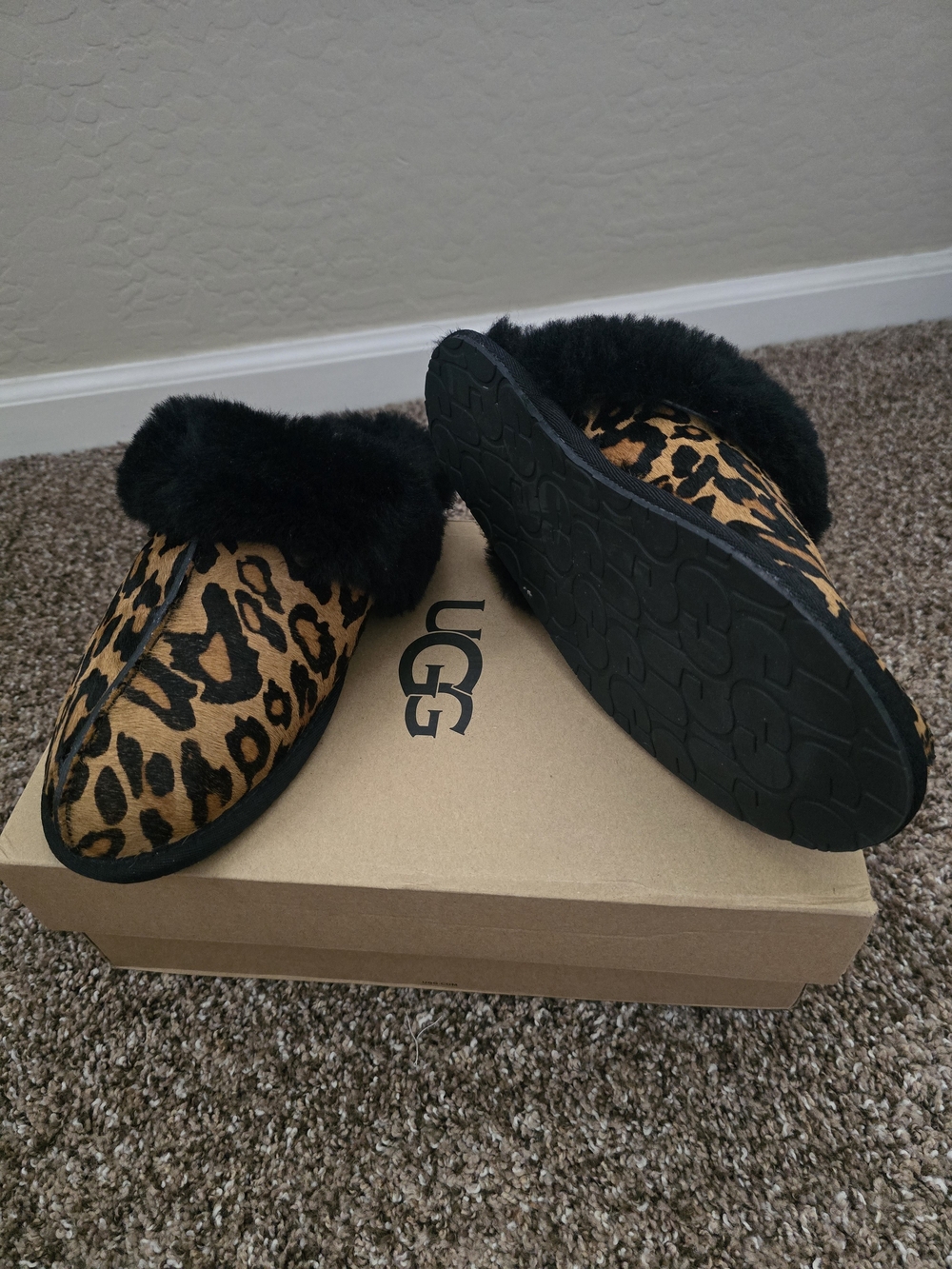 UGG SCUFFETTE II Leopard Print Slip-On Slippers with Black Shearling. New.